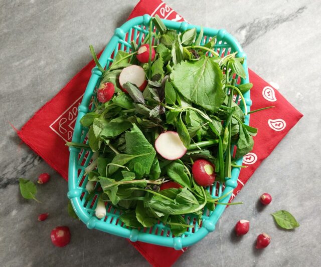 Sabzi Khordan -- Iranian herb salad
