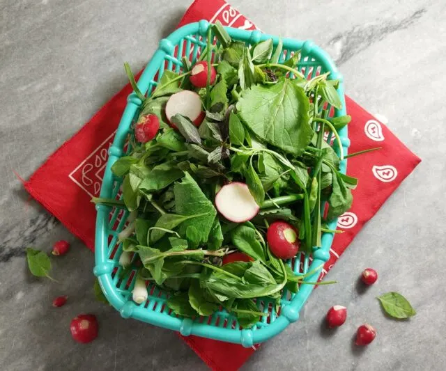 Sabzi Khordan -- Iranian herb salad