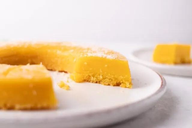 quindim brazilian dessert coconut custard - low image of toasted coconut crust